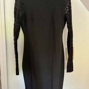 Elegant Black Lace Sleeve Dress